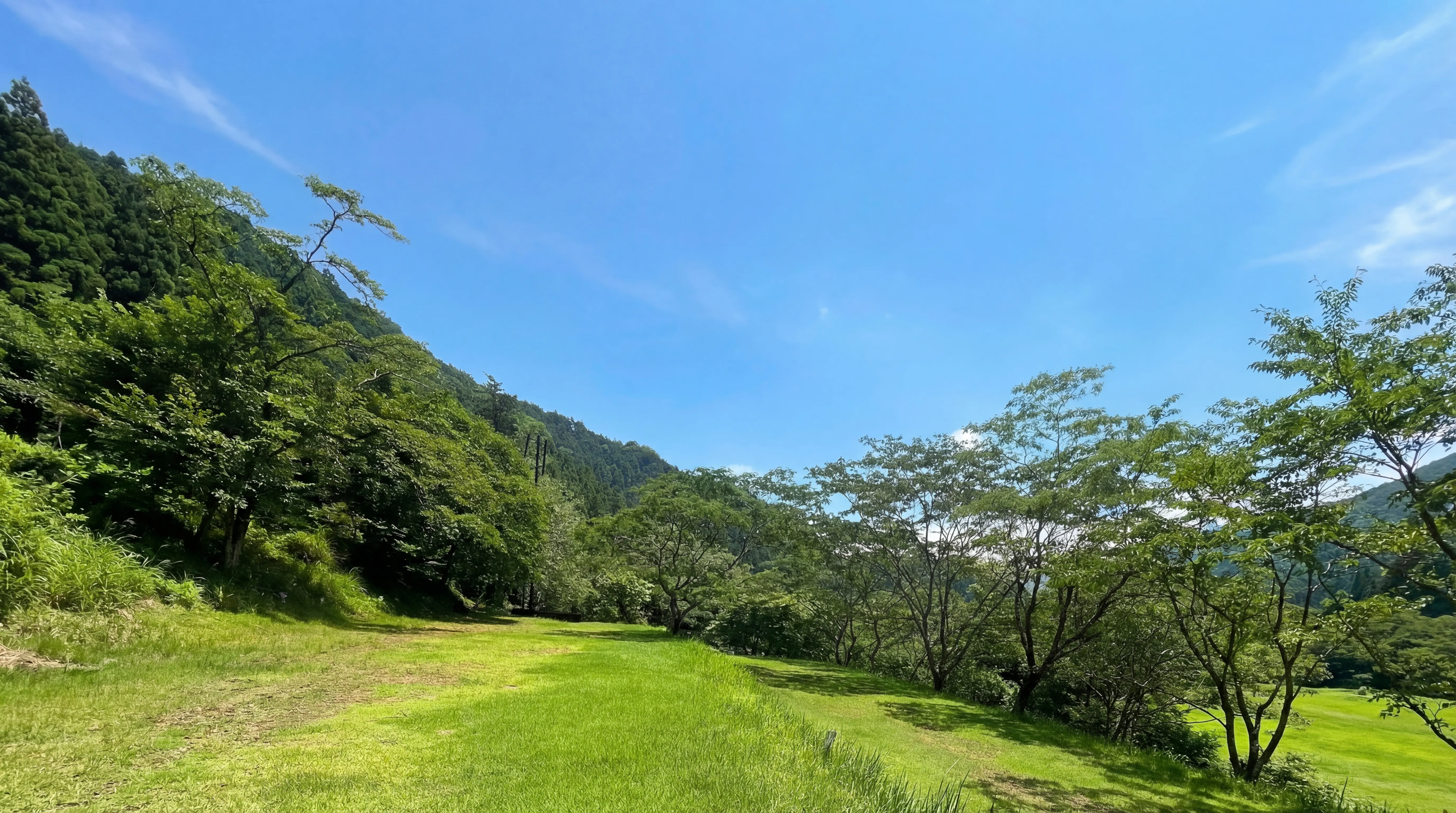 SACCO Experience Hero